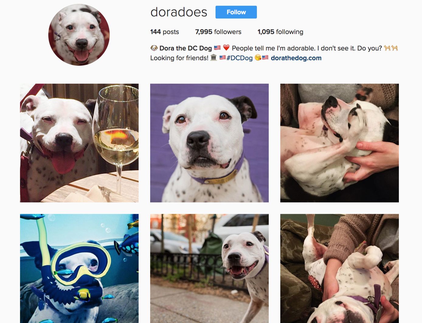 @DoraDoes @DoraDoes